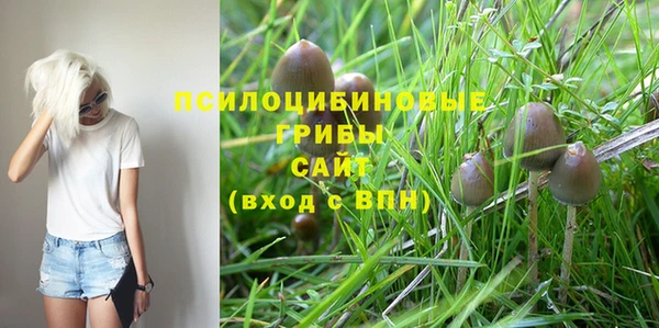 дмт Коряжма
